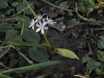 P1050746.JPG