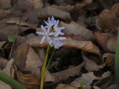 P1050753.JPG