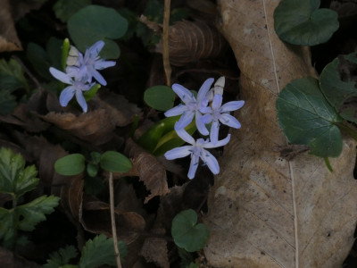 P1050758.JPG