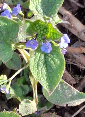 20260228_165926.jpg