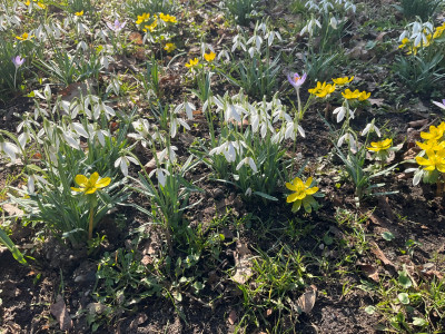 IMG_3189.jpeg