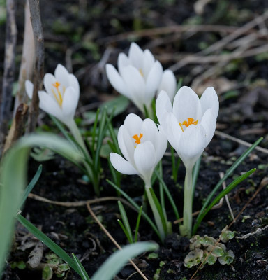 DSC_9858_DxO.jpg