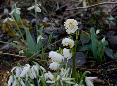 DSC_9851_DxO.jpg