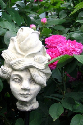 Rose_de_Resht_und_Blumenkind_Rose.JPG