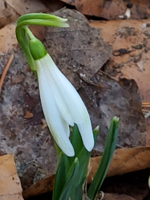 20260303_105422.jpg