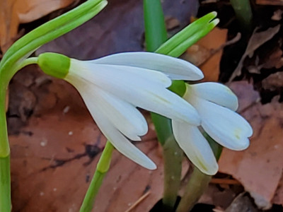 20260303_105455.jpg
