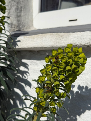 IMG_4857.jpeg