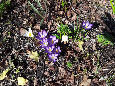 Allerlei Buntes