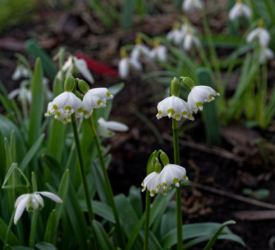 DSC_9873_DxO.jpg