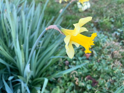IMG_0944.jpeg