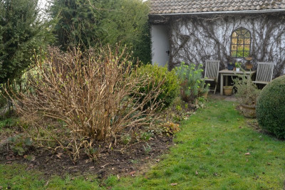 Trebah Silver nach dem Schnitt