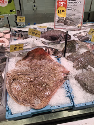 20260306_110601.jpg