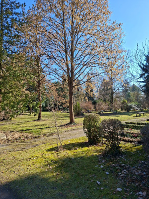 20260303_130238.jpg