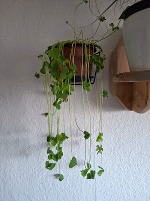 20260306_160658.jpg