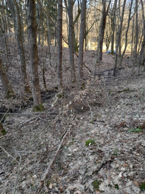 20260305_150051.jpg