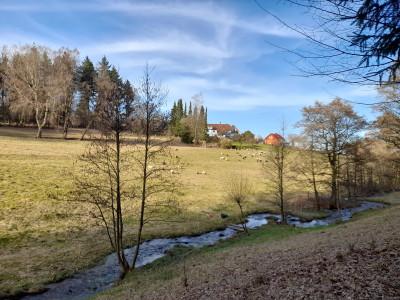 20260306_161055.jpg