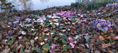 20260307_170204.jpg