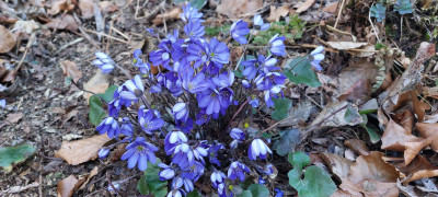 20260307_170109.jpg