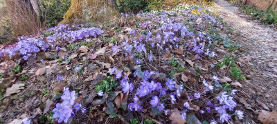 20260307_163709.jpg