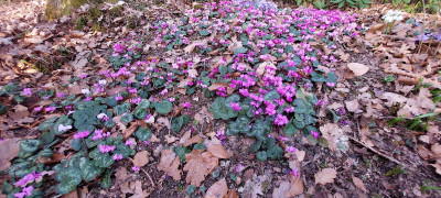 20260307_163636.jpg