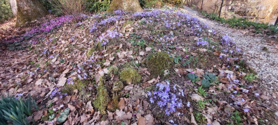 20260307_163557.jpg