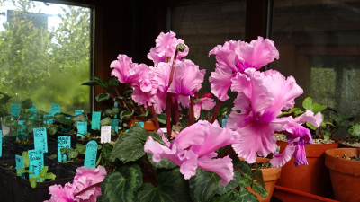 DSC00270.JPG