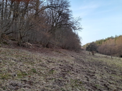 20260307_165240.jpg
