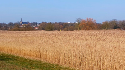 20260307_133919.jpg