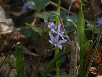P1050833.JPG