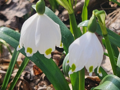 20260308_110748.jpg
