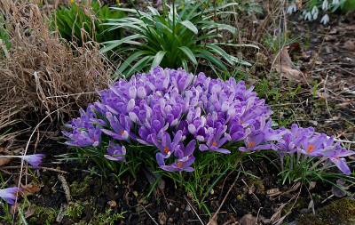DSC02423_DxO.jpg