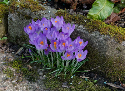 DSC02430_DxO.jpg
