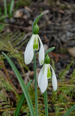 DSC02427_DxO.jpg