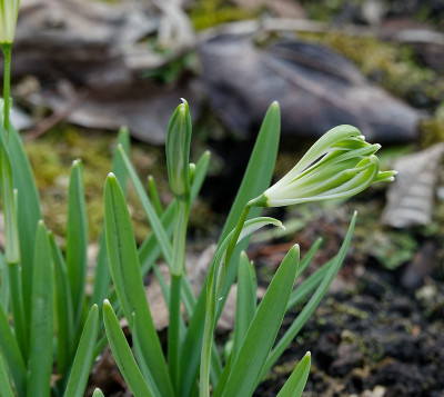 DSC02428_DxO.jpg