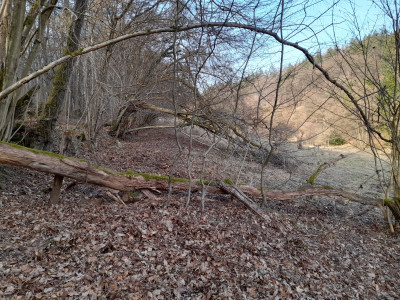 20260308_153106.jpg