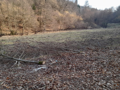 20260308_150803.jpg