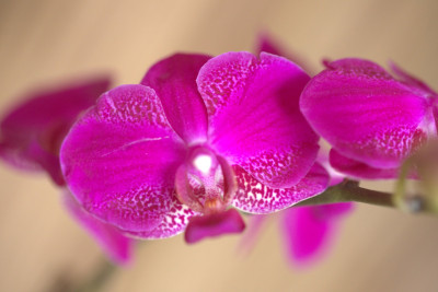 3Q7A0758.jpg
