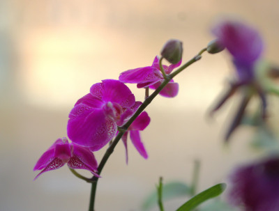 3Q7A0761.jpg