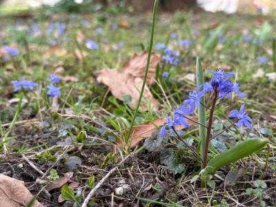 IMG_5444.jpeg