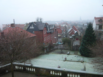 Neujahrsmorgen-2009-.jpg
