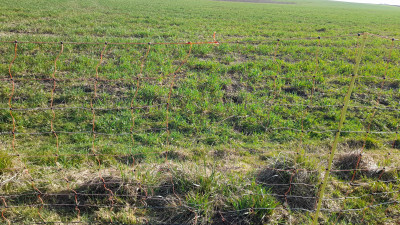 IMG-20260309-WA0014.jpeg