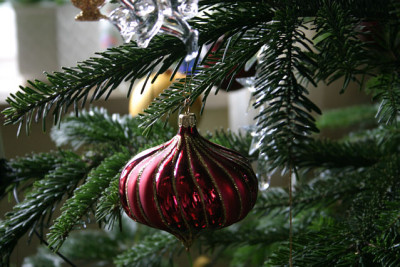 IMG_4847.jpg