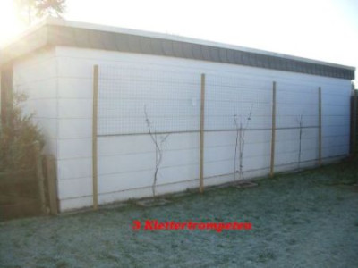 Kletter-Trompete_an_Garage_kleiner.jpg