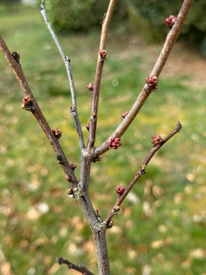 IMG_5928.jpeg