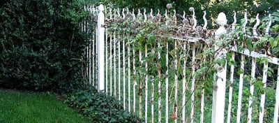 Gartenzaun_1.jpg