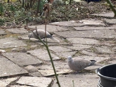 image0(5).jpeg