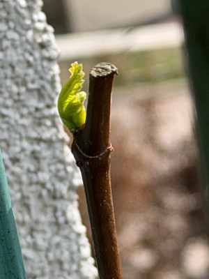 IMG_2022.jpeg