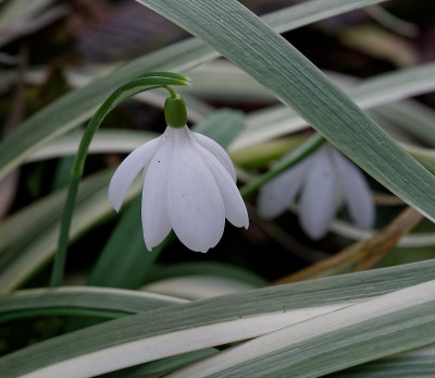 DSC_9876_DxO.jpg