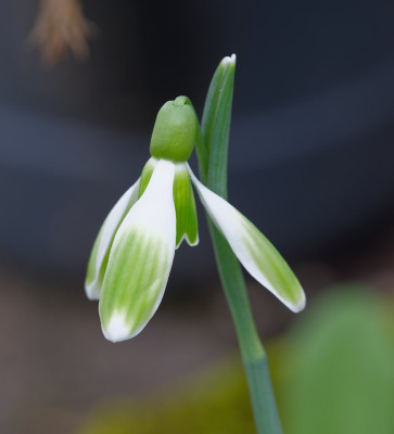 DSC_9877_DxO.jpg