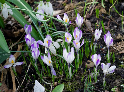 DSC_9878_DxO.jpg